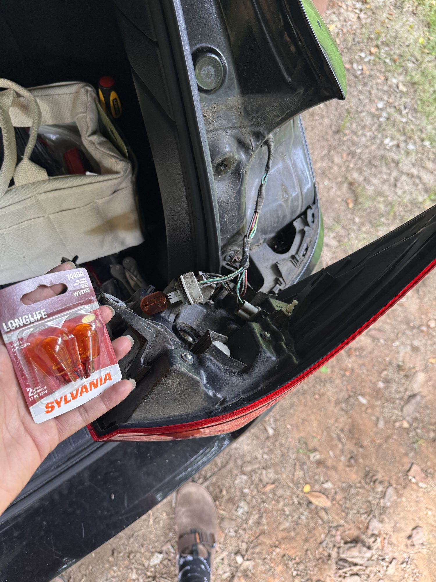 Hand holding a two-pack of Sylvania replacement turn signal bulbs next to the car's open tail light housing.